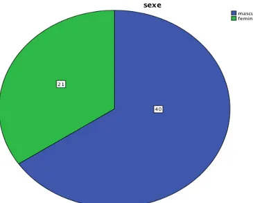 Figure 13  :  ratio  Homme / femme 