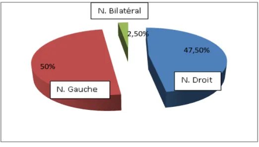 Figure 5 : Répartition selon la localisation du néphroblastome 