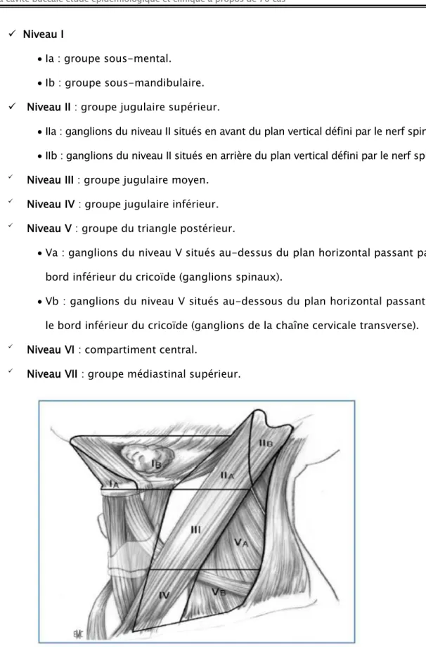 Figure 9 : Représentation des différents groupes ganglionnaires cervicaux selon l’American Head  and Neck Society et l’American Academy of Otolaryngology (2002) 