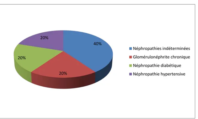 Figure n°1 : Répartition selon la néphropathie causale.  III.  Hémodialyse : 