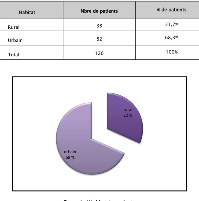 Tableau V : L’habitat  des patients 