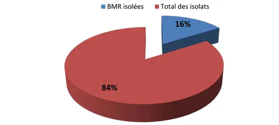 Figure 9: Prévalence globale des BMR 