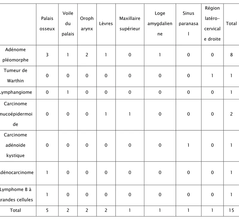 Tableau IV: Types histologiques, localisations et fréquence des tumeurs des GSA (n=15)  Palais  osseux  Voile du  palais  Oroph arynx  Lèvres  Maxillaire supérieur  Loge  amygdalienne  Sinus  paranasal  Région latéro-cervical e droite  Total  Adénome  pléomorphe  3  1  2  1  0  1  0  0  8  Tumeur de  Warthin  0  0  0  0  0  0  0  1  1  Lymphangiome  0  1  0  0  0  0  0  0  1  Carcinome  mucoépidermoi de  0  0  0  1  1  0  0  0  2  Carcinome  adénoïde  kystique  0  0  0  0  0  0  1  0  1  Adénocarcinome  1  0  0  0  0  0  0  0  1  Lymphome B à  grandes cellules  1  0  0  0  0  0  0  0  1  Total  5  2  2  2  1  1  1  1  15 