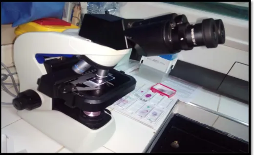Figure 4 : Microscope binoculaire de marque Olympus CX31®du laboratoire de  Microbiologie de l’hôpital Militaire Avicenne Marrakech 