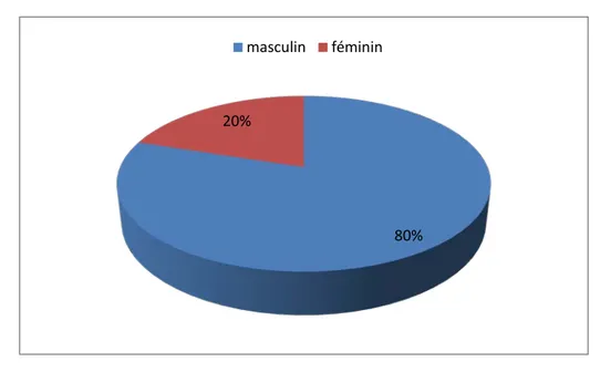 Figure 11: Répartition selon l’origine des malades inclus 80% 20% masculin  féminin 82% 7% 5%  2% 1% 1% 1% 1%  Marrakech Chichaoua Lhaouz 