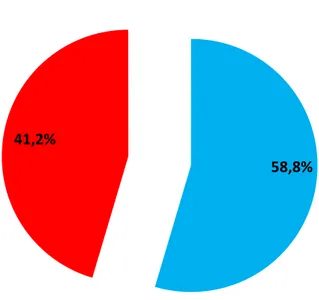 Figure 4 : répartition des patients selon l’origine géographique. 