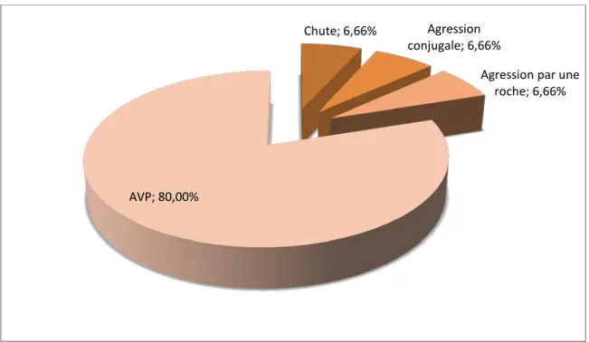 Figure n°3 : Répartition des patients selon les circonstances du traumatisme causal 