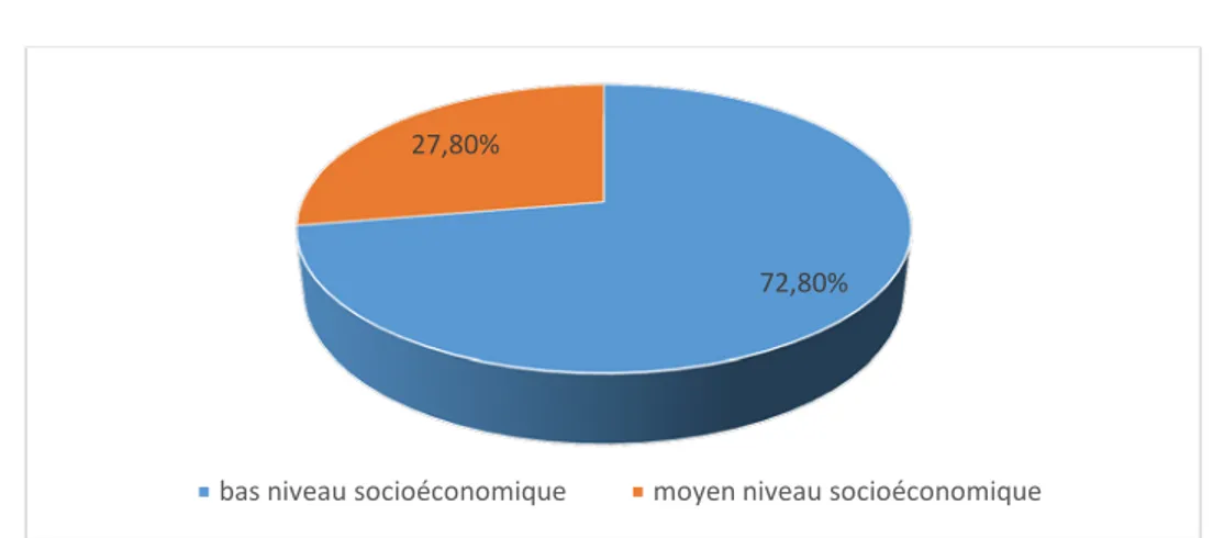 Figure 4 : la répartition des malades selon le niveau socioéconomique. 