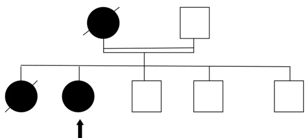 Figure 6 :  Arbre généalogique de la deuxième famille  II.  Profil clinique : 