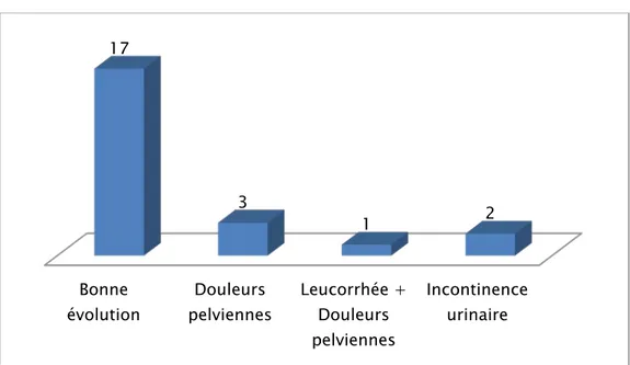 Figure 8: Répartition des patientes selon leurs évolutions à long terme Bonne évolution  Douleurs pelviennes Leucorrhée + Douleurs pelviennes Incontinence urinaire 17 3 1 2 