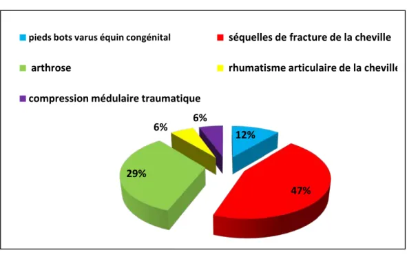 Figure 5 : Répartition selon les indications d’arthrodèse dans notre série. 