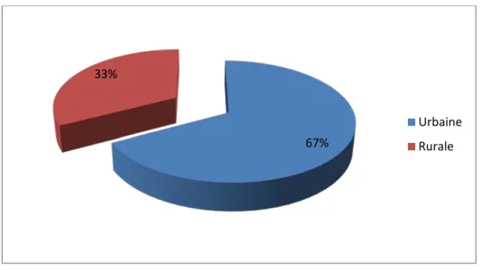 Figure 5 : Répartition des patients selon leur origine (n=61) 
