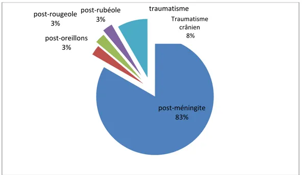 Figure 16 : Classification de la surdité selon l’apparition par rapport au langage  post-méningite 83% post-oreillons 3% post-rougeole 3% post-rubéole 3% traumatisme cranien 8% 82% 7% 11% 