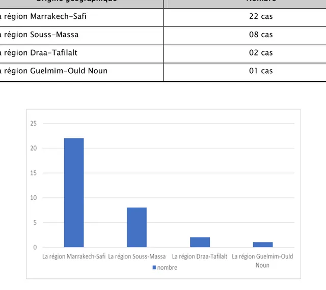 Figure 4: Répartition selon l’origine géographique 