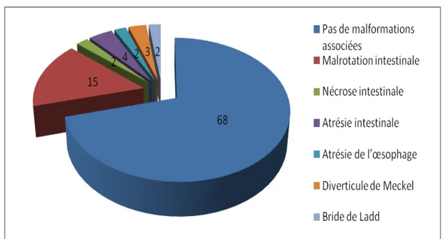 Figure 12 : Répartition des enfants selon les malformations associées découvertes en peropératoire 