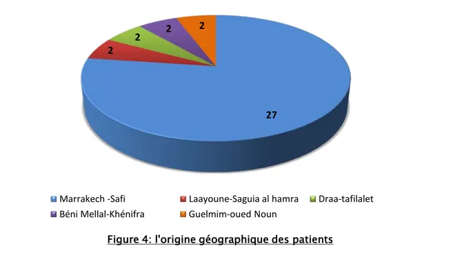 Figure 4: l'origine géographique des patients  Marrakech -SafiLaayoune-Saguia al hamra Draa-tafilaletBéni Mellal-KhénifraGuelmim-oued Noun