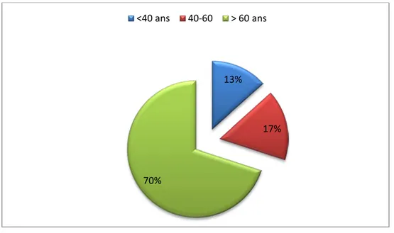 Figure 1 : Répartition du nombre des cas selon les tranches d’âge. 13% 