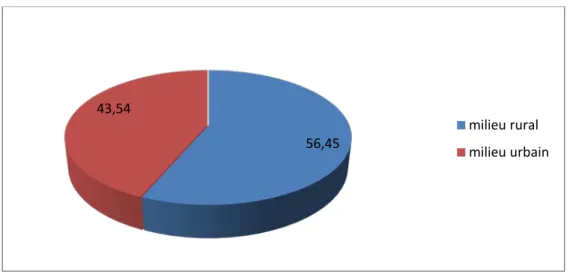 Figure 4 : Origine des patients.  5.  Localisation au niveau du tube digestif : 