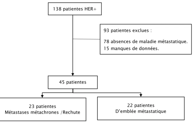 Figure 1 : plan de sélection des patientes pour l’analyse statistique 138 patientes HER+ 