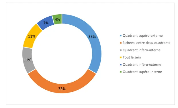 Figure 8 : Répartition par quadrants. 33% 33% 11% 11% 7% 4%  Quadrant supéro-externe  à cheval entre deux quadrants Quadrant inféro-interne Tout le sein 