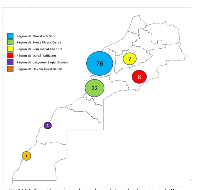 Fig. N° 62: Répartition géographique des malades selon les régions du Maroc 