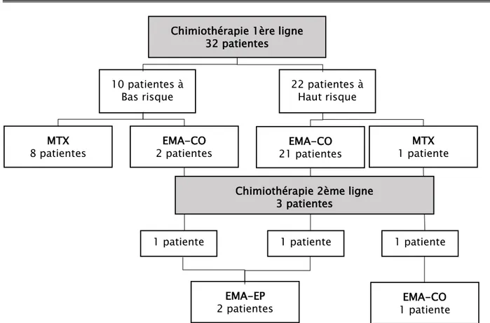 Figure 20 : Répartition des patientes selon le protocole de chimiothérapie reçu. 