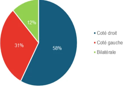 Figure 13 : Répartition des patients selon la localisation de la tumeur. 