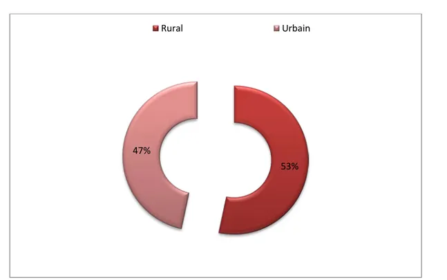 Figure 10 : Répartition des patients selon l’origine géographique 