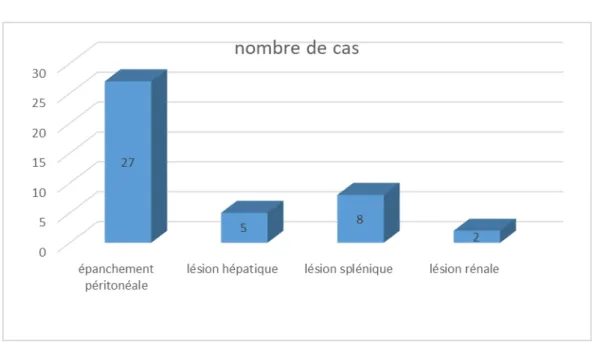 Figure 14 : lésions abdominales 