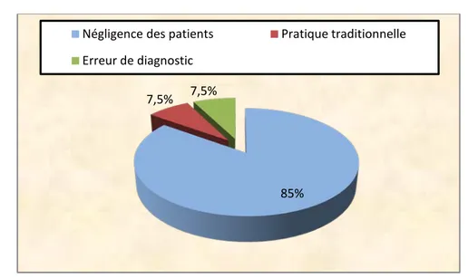 Figure 6: Causes du retard de diagnostic chez les patients de notre série. 