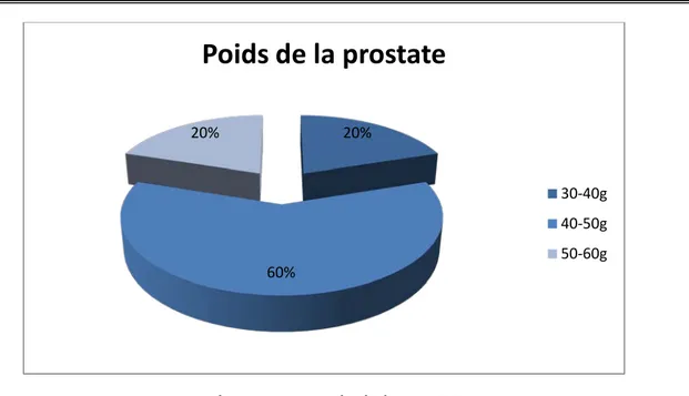 Graphique n°4 : Poids de la prostate 