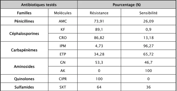 Tableau VIII  : Sensibilité aux antibiotiques des isolats de Klebsiella pneumonie uropathogène  dans l'IUN 