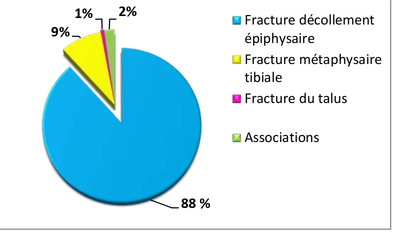 Figure 16 : répartition des cas selon la fracture. 
