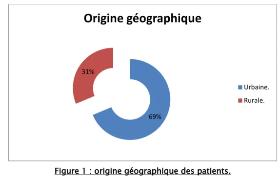 Figure 1 : origine géographique des patients. 