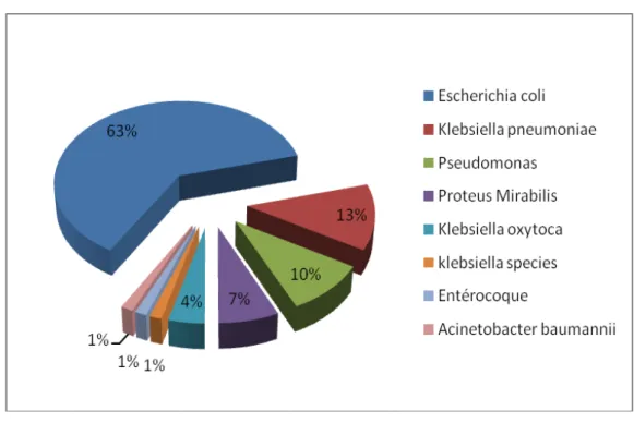 Figure 10 : La répartition selon les germes responsables de l’infection urinaire. 