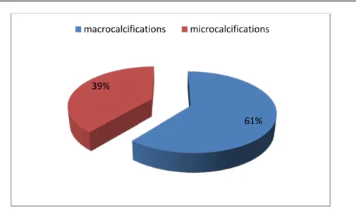 Fig 27 : La répartition des nodules selon la présence de macrocalcifications et de  microcalcifications 