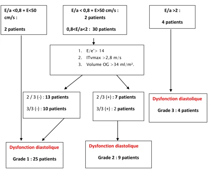 Figure 13 : Patients avec fraction d’éjection préservée et hypertrophie ventriculaire gauche
