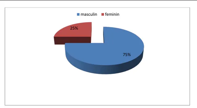 Figure 8: Répartition de la population selon le sexe 