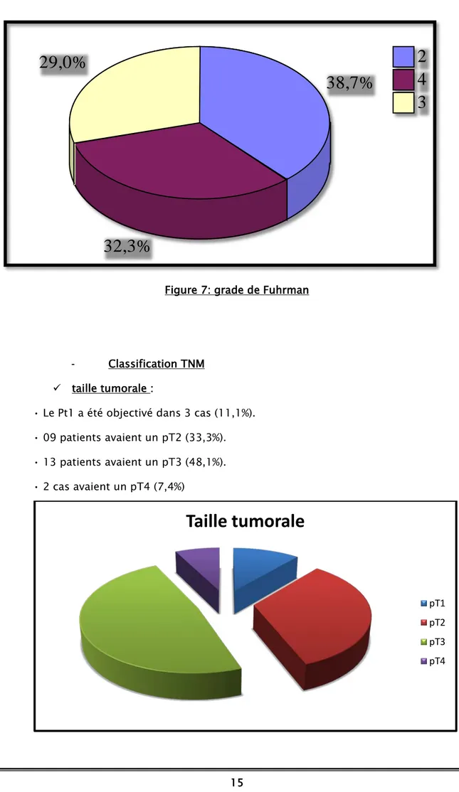 Figure 7: grade de Fuhrman 