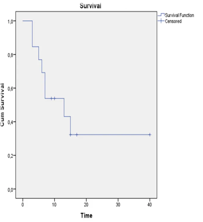 Figure 17: Courbe de survie sans progression estimée par la méthode de Kaplan Meier 