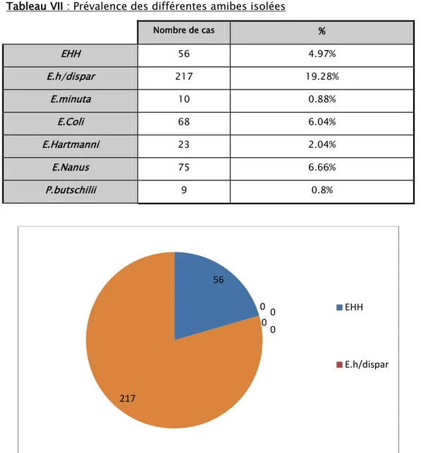 Tableau VII : Prévalence des différentes amibes isolées  Nombre de cas % EHH  56  4.97%  E.h/dispar 217  19.28%  E.minuta  10 0.88%  E.Coli  68 6.04% E.Hartmanni  23  2.04%  E.Nanus  75  6.66%  P.butschilii  9  0.8% 