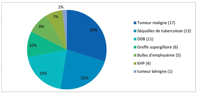 Figure N° 3 : Répartition des patients selon l’indication chirurgicale 65% 35%   homme  femme  30% 23% 19% 10% 9% 7% 2% Tumeur maligne (17) Séquelles de tuberculose (13) DDB (11) Greffe aspergillaire (6) Bulles d'emphysème (5) KHP (4) tumeur bénigne (1) 