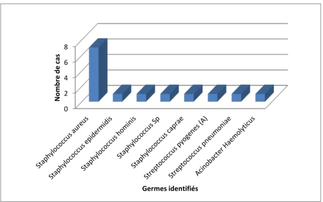 Figure 3 : Distribution des bactéries isolées. 