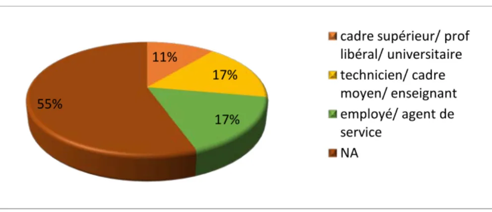 Figure 4: lien de parenté entre participant/patient 11% 