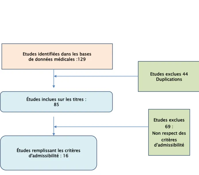 Figure 1 : Organigramme résumant le processus de sélection des études Etudes identifiées dans les bases 