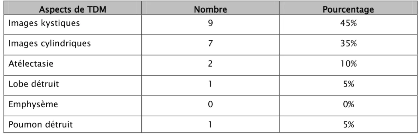 Tableau VI : Aspects TDM retrouvés dans notre série 