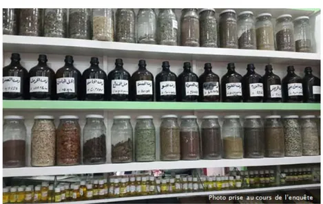 Figure 6 : Exposition des plantes médicinales et des huiles dans des bocaux en verre  8 stations à Agadir : Souk El Had, Ihchach, Marchés d’inzegane, Talborjt, Salam, Ryad  essalam, Dakhla, Les amicales