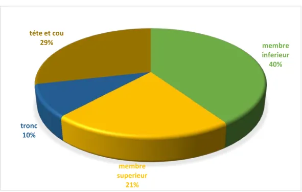 Figure n° 6 : Répartition des différentes tumeurs selon le siege  b.  Taille tumoral 