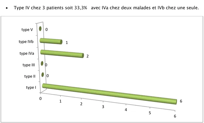 Figure 16 : Répartition des types morphologiques selon nombre de cas. 0 1 2 3 4 5 6 type I type II type III type IVa type IVb type V  6 0 0 2 1 0 