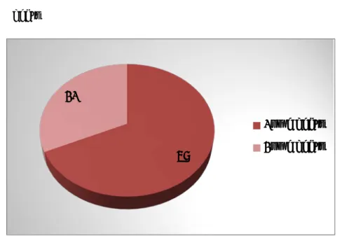 Figure 9 : Répartition des patients selon la profondeur de la brûlure initiale 